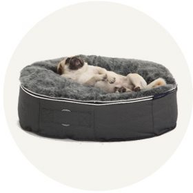 ふかふかのグレーのぺットベッドにパグ犬が仰向けになりながら寛いでいる