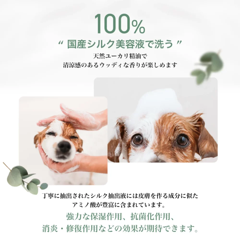 the Shampoo - 画像 (6)
