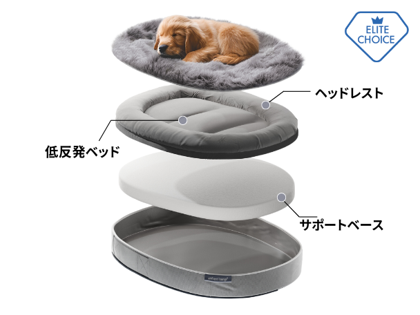 スタンダード